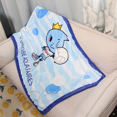 法兰绒印花毛毯(1)